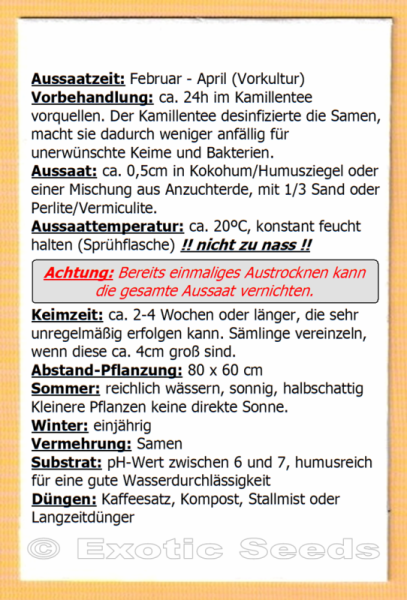 Tomate * Cuor di bue * Ochsenherz-rot * 10 Samen